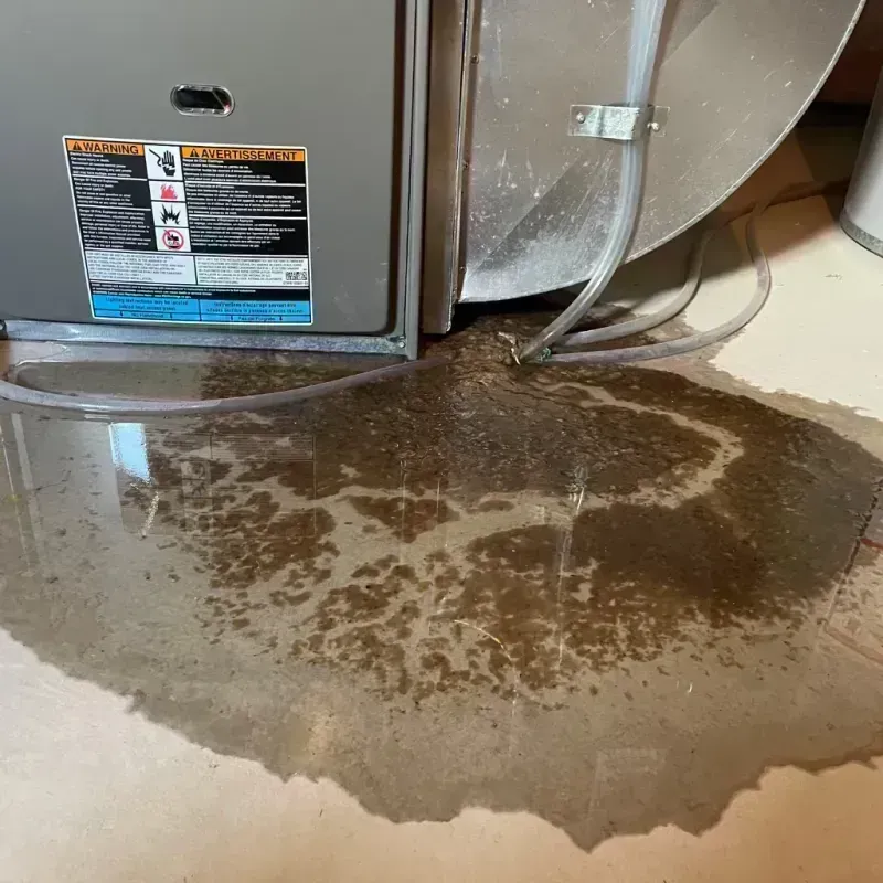 Appliance Leak Cleanup in South Bel Air, MD